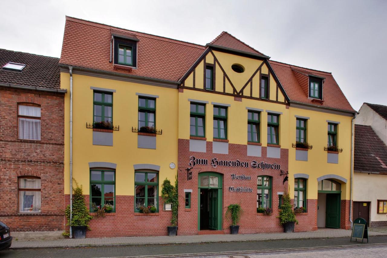 Gasthaus Und Pension "Zum Hauenden Schwein" Wörlitz エクステリア 写真